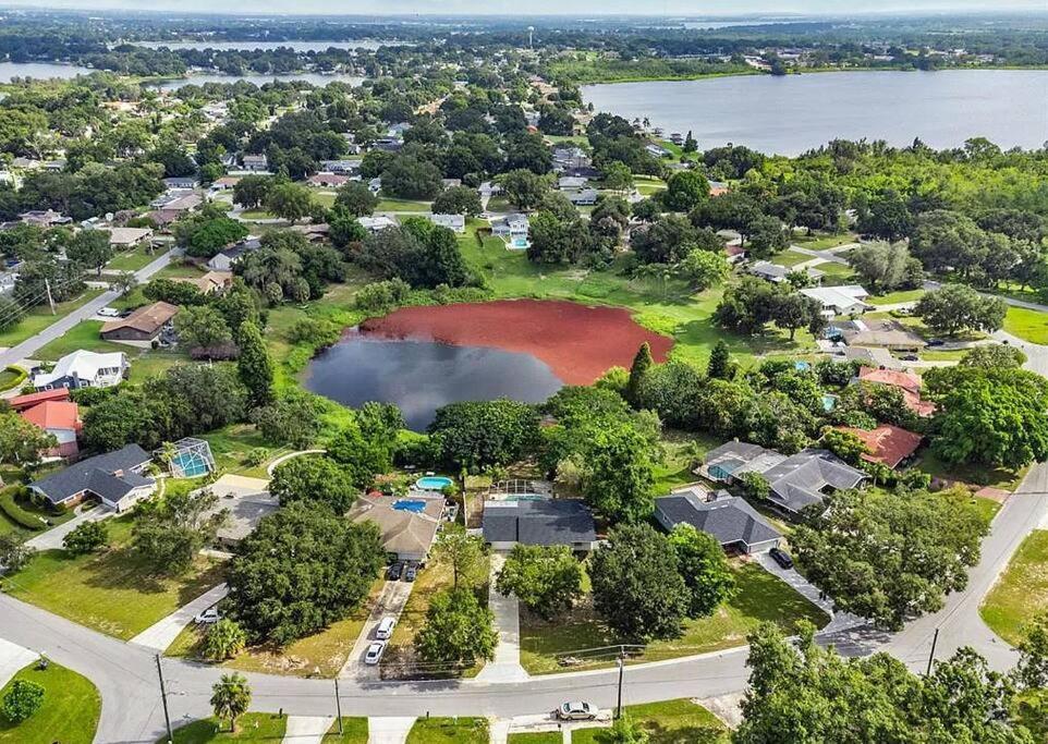 Cozy Lakefront Home W/ Pool -7 Mins From Legoland Winter Haven Buitenkant foto